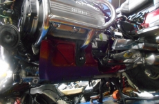 DSCN3946_resize