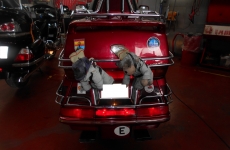 DSCN4023_resize